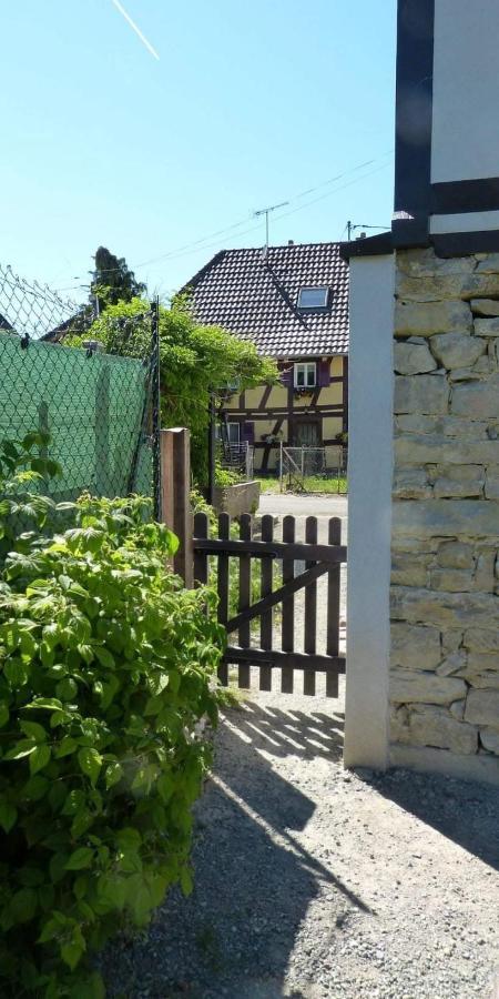 Gite Les Sabots De Paille, Alsace Haut-Rhin Ballesdorf Exteriör bild
